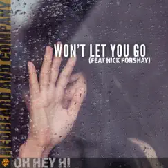 Won't Let You Go (feat. Nick Forshay) Song Lyrics