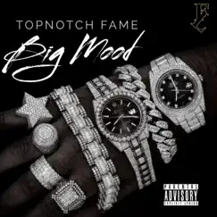 Big Mood - Single by TopNotch Fame album reviews, ratings, credits