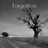 Forgotten - Single album lyrics, reviews, download