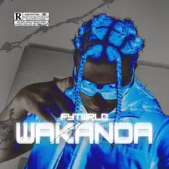 WAKANDA - Single by FYTWRLD album reviews, ratings, credits