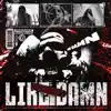 Like Damn (Edm Remix) - Single album lyrics, reviews, download