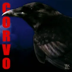 Corvo (feat. BIN, ONNiKA, Massaru, Sickk & Wollyyy) Song Lyrics