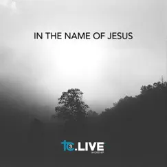 In the Name of Jesus (feat. Katie Scruggs) Song Lyrics