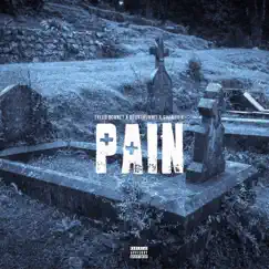 PAIN - Single by Bzzy1Hunnit album reviews, ratings, credits