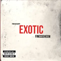 Exotic - Single by FINESSEISSIPPI album reviews, ratings, credits