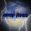 Slowly Fading - Single album lyrics, reviews, download