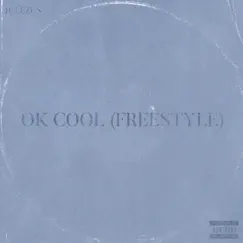 Ok Cool (Freestyle) Song Lyrics