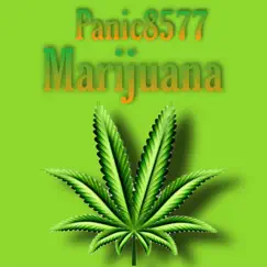 Marijuana - Single by Panic8577 album reviews, ratings, credits