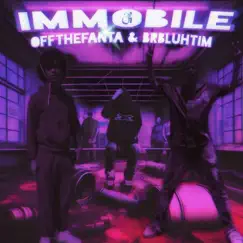 Immobile - Single by BRBLuhTim & OffTheFanta album reviews, ratings, credits