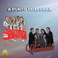 A Punto De Llorar (feat. Los Caminantes) - Single by Los Sagitarios album reviews, ratings, credits
