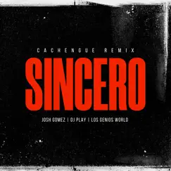 Sincero (Cachengue) [Remix] Song Lyrics