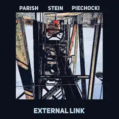 External Link by Shane Parish, Jason Stein & Danny Piechocki album reviews, ratings, credits