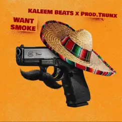 Want Smoke - Single by Kaleem Beats album reviews, ratings, credits
