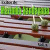 Éxitos de Marimba Nandayapa, Vol.2 album lyrics, reviews, download