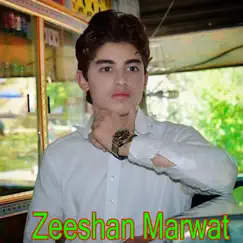 Ala Wash Wash Wash Ala Jar Jar Jar - Single by Zeeshan Marwat album reviews, ratings, credits