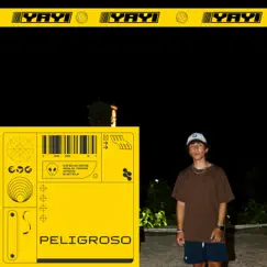 Peligroso - Single by YAYI album reviews, ratings, credits