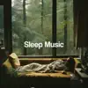 Musique Relaxante Pour Dormir song lyrics