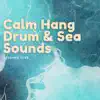 Calm Hang Drum & Sea Sounds album lyrics, reviews, download