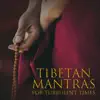 Tibetan Mantras for Turbulent Times: Healing Singing Bowls, Meditation & Extreme Soul Cleansing album lyrics, reviews, download