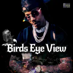 Birds Eye View by Gue Wop album reviews, ratings, credits