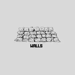 Walls - Single by HomeGrown Asbo album reviews, ratings, credits