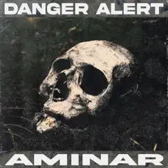 Danger Alert Song Lyrics