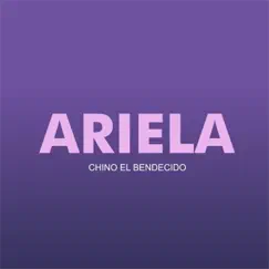 Ariela (feat. Jesse El Afortunado, Cristiancito 16 & Fran Kenny) - Single by Chino El Bendecido album reviews, ratings, credits