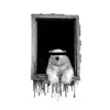 The Polar Bear Is Melting album lyrics, reviews, download
