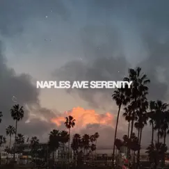 Naples Ave Serenity Song Lyrics