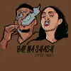 Bae Na Shash - Single album lyrics, reviews, download