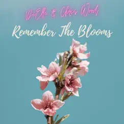 Remember the Blooms Song Lyrics