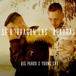 Se Borraron las Palabras (feat. Young sad) - Single by Big Pardo album reviews, ratings, credits