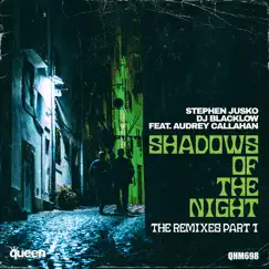 Shadows of the Night (feat. Audrey Callahan) [Dan Slater Disco Remix] Song Lyrics