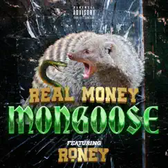 Mongoose (feat. Roney) - Single by Real Money album reviews, ratings, credits