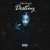 Destiny (feat. Aswag) - Single album lyrics, reviews, download