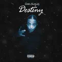 Destiny (feat. Aswag) - Single by Static Electricity album reviews, ratings, credits