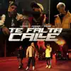 TE FALTA CALLE (feat. Jdrop & Gese) - Single album lyrics, reviews, download