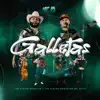 Galletas - Single album lyrics, reviews, download
