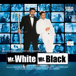 Mr. White Mr. Black by Tauseef Akhtar, Jatin-Lalit & Shamir Tandon album reviews, ratings, credits