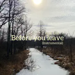Before You Leave (Instrumental) Song Lyrics