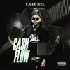 Cash Flow - Single album lyrics, reviews, download