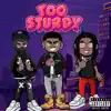 Too Sturdy (feat. Phrgnvmbr & President Lope) - Single album lyrics, reviews, download