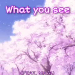 What You See - Single by ISOShadow album reviews, ratings, credits