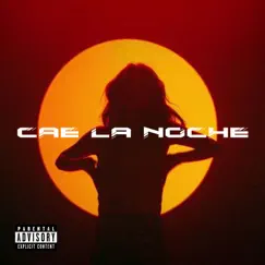Cae La Noche Song Lyrics