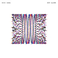 Not Alone by Bizi Gara album reviews, ratings, credits