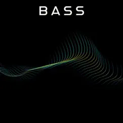 Bass Song Lyrics