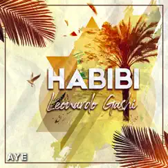 Habibi Song Lyrics