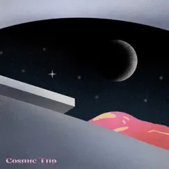 Cosmic Trip - Single by DYVN & Kristoffer Eikrem album reviews, ratings, credits