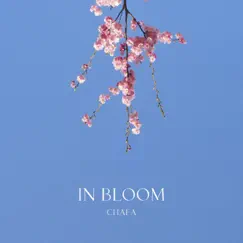 In Bloom - Single by Chafa album reviews, ratings, credits