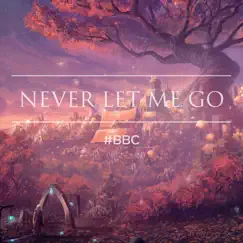 Never Let Me Go - Single by #BBC album reviews, ratings, credits